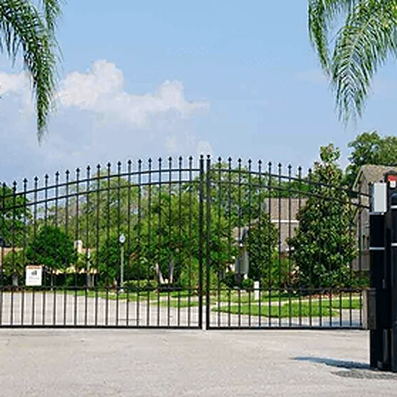 Double iron gate at a palm-lined entrance